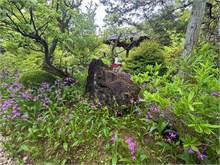 009- Gardens-Hemeji-Castle